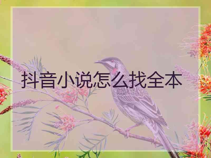 抖音小说怎么找全本