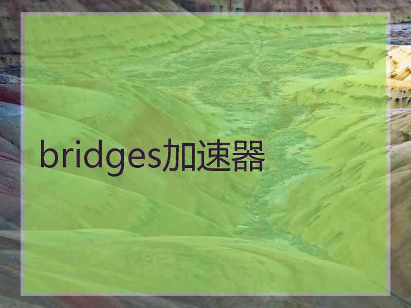 bridges加速器