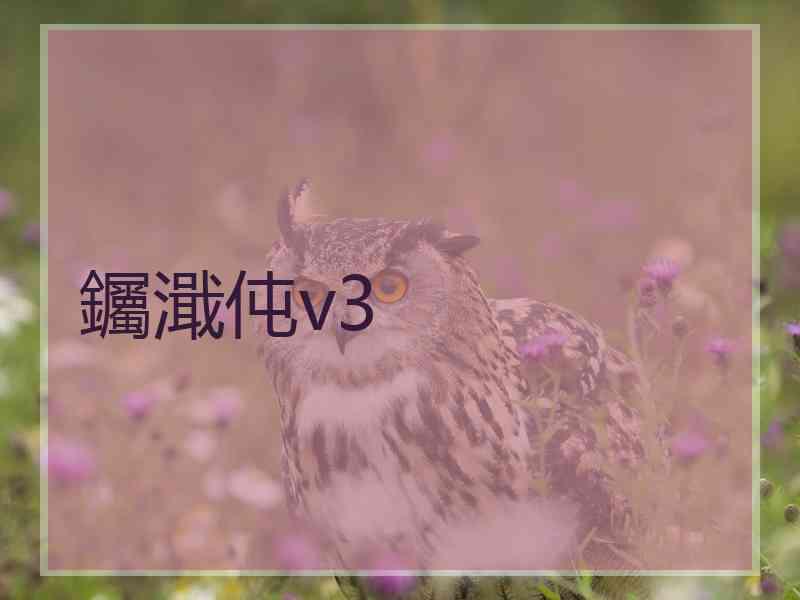 钃濈伅v3