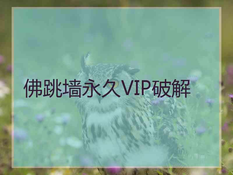 佛跳墙永久VIP破解