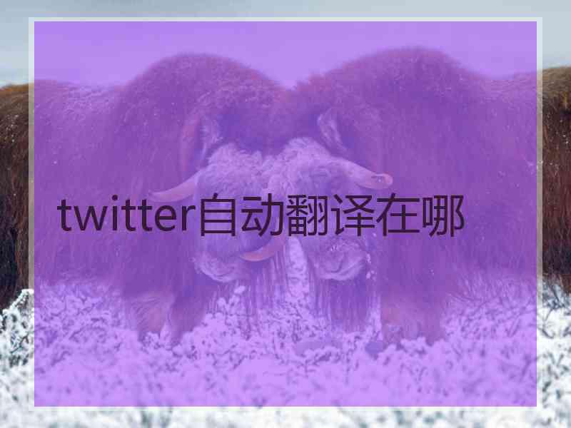 twitter自动翻译在哪