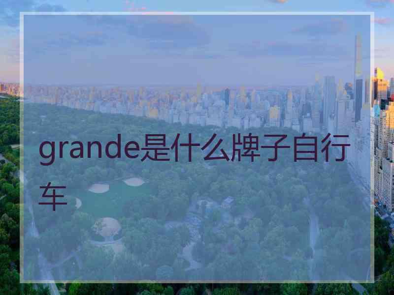 grande是什么牌子自行车