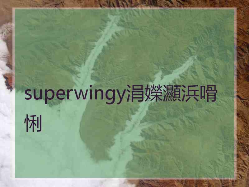 superwingy涓嬫灦浜嗗悧