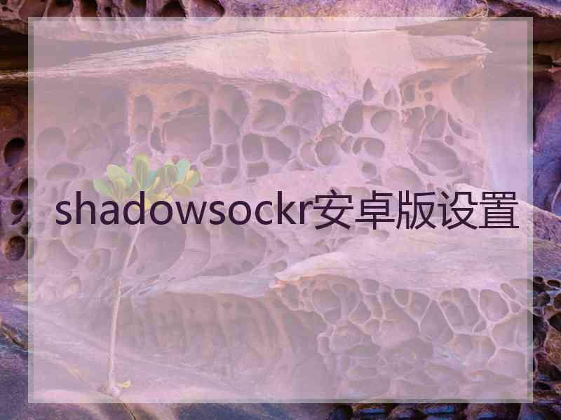 shadowsockr安卓版设置