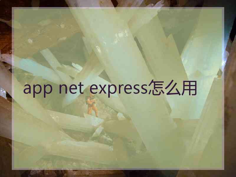 app net express怎么用