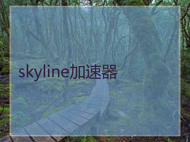 skyline加速器