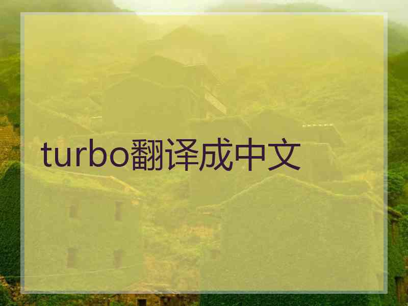 turbo翻译成中文