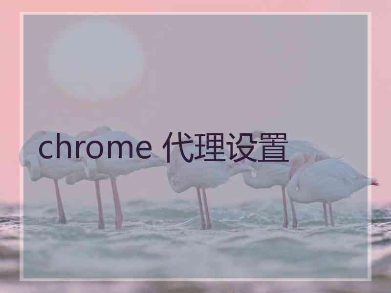 chrome 代理设置