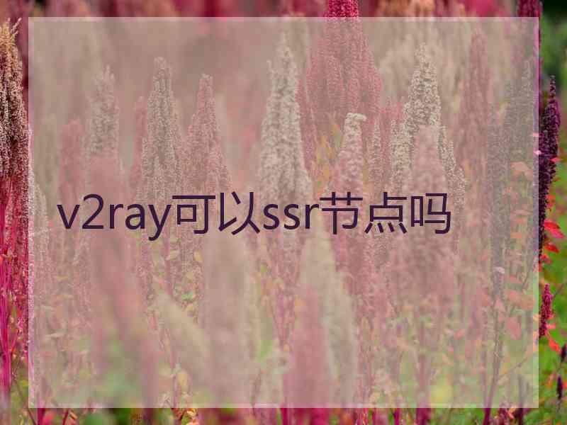 v2ray可以ssr节点吗