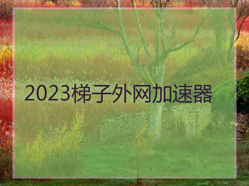 2023梯子外网加速器