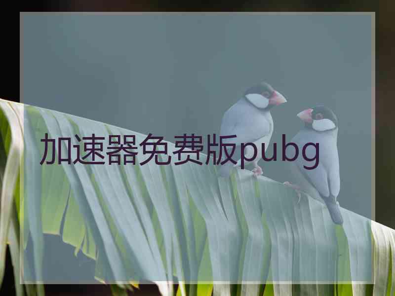 加速器免费版pubg