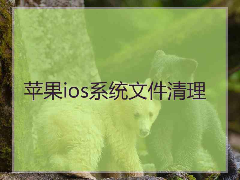 苹果ios系统文件清理