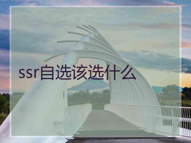 ssr自选该选什么