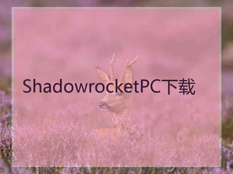 ShadowrocketPC下载