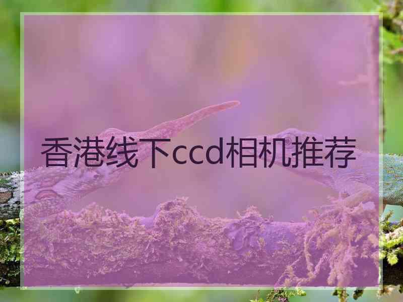 香港线下ccd相机推荐