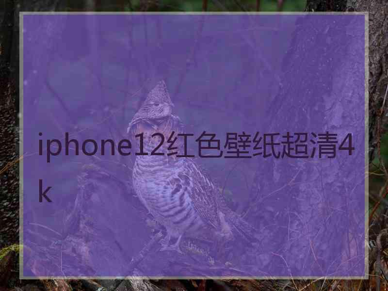 iphone12红色壁纸超清4k