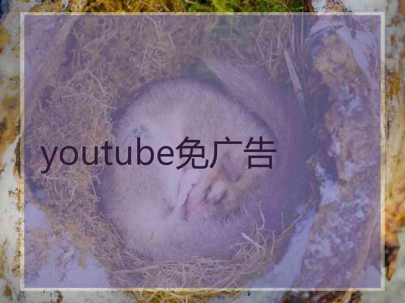 youtube免广告