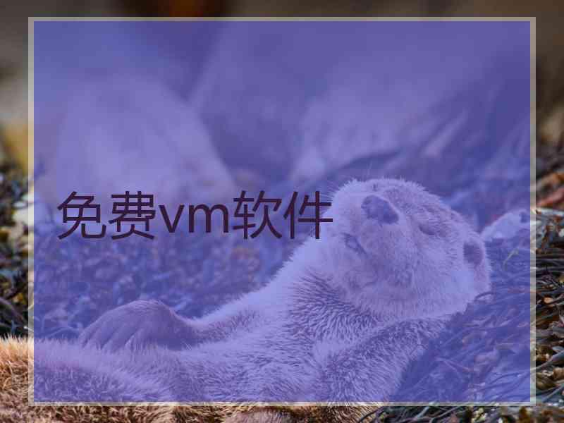 免费vm软件