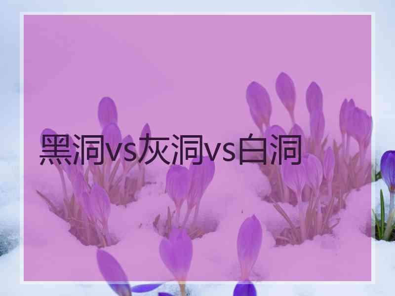 黑洞vs灰洞vs白洞