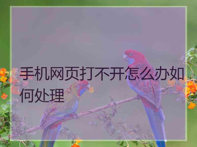 手机网页打不开怎么办如何处理