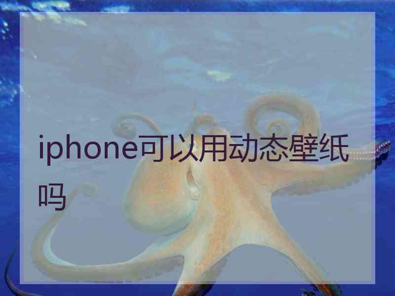 iphone可以用动态壁纸吗