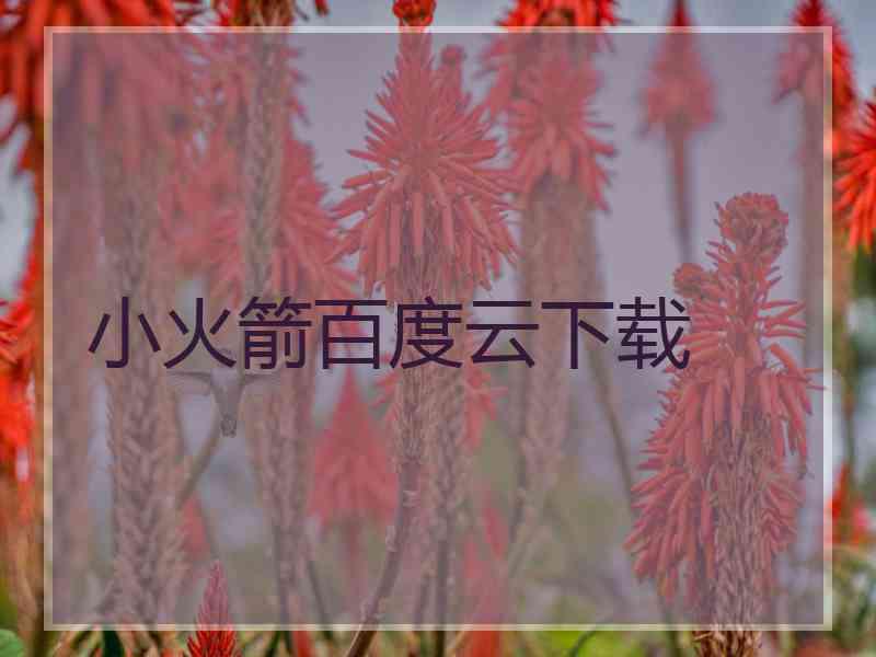 小火箭百度云下载