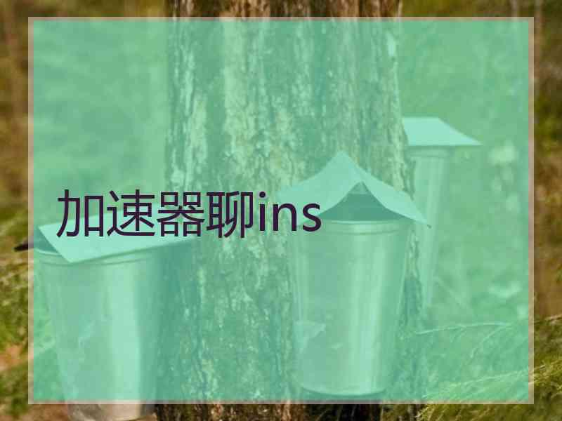 加速器聊ins