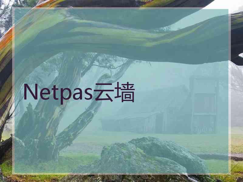 Netpas云墙