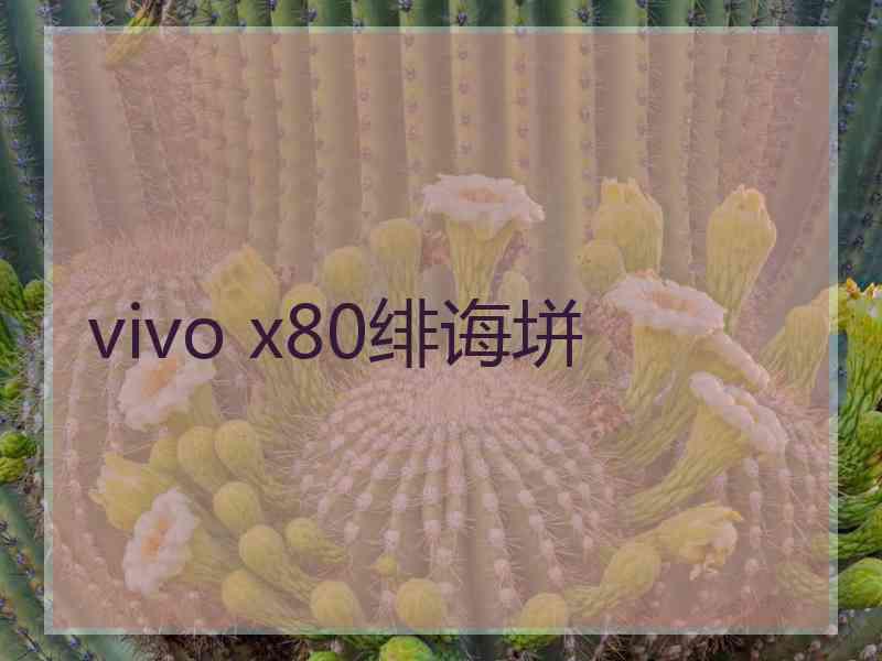 vivo x80绯诲垪