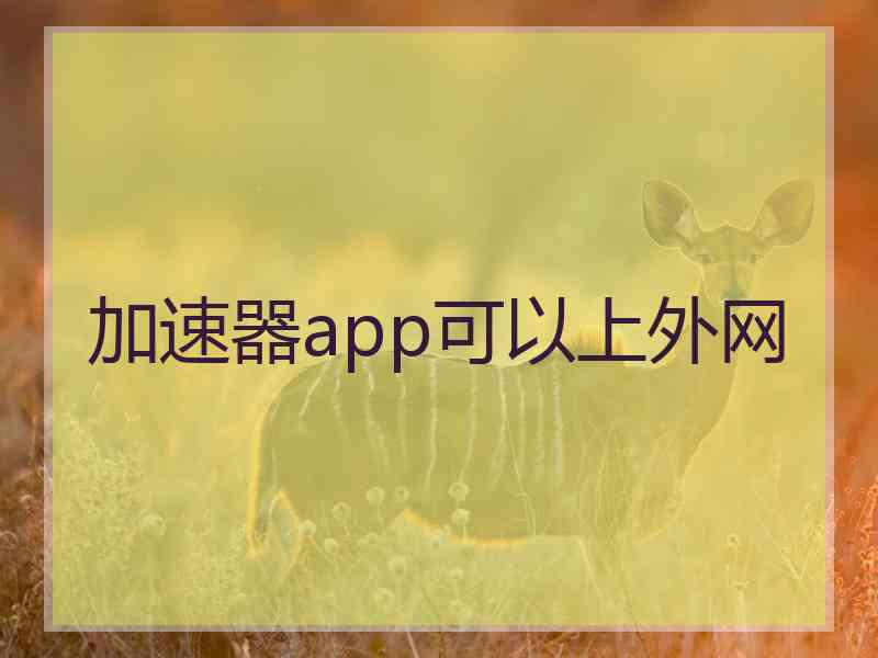 加速器app可以上外网