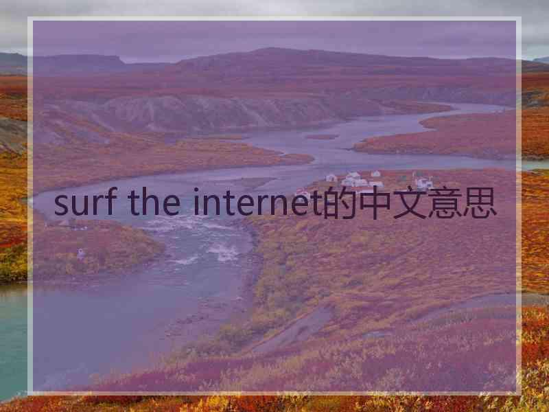 surf the internet的中文意思