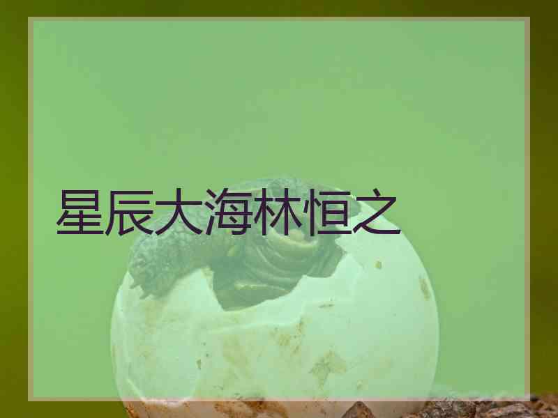 星辰大海林恒之