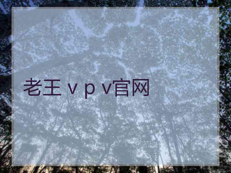 老王 v p v官网