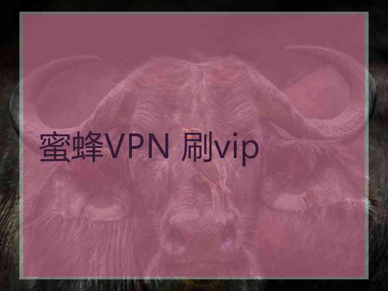 蜜蜂VPN 刷vip