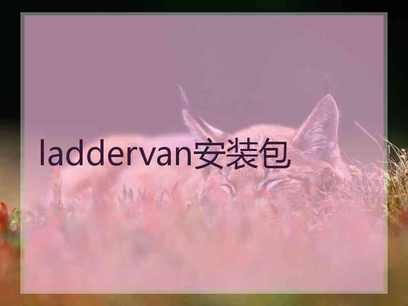 laddervan安装包