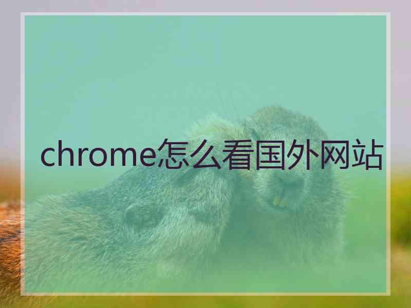 chrome怎么看国外网站