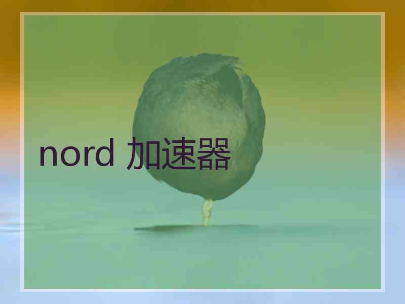 nord 加速器