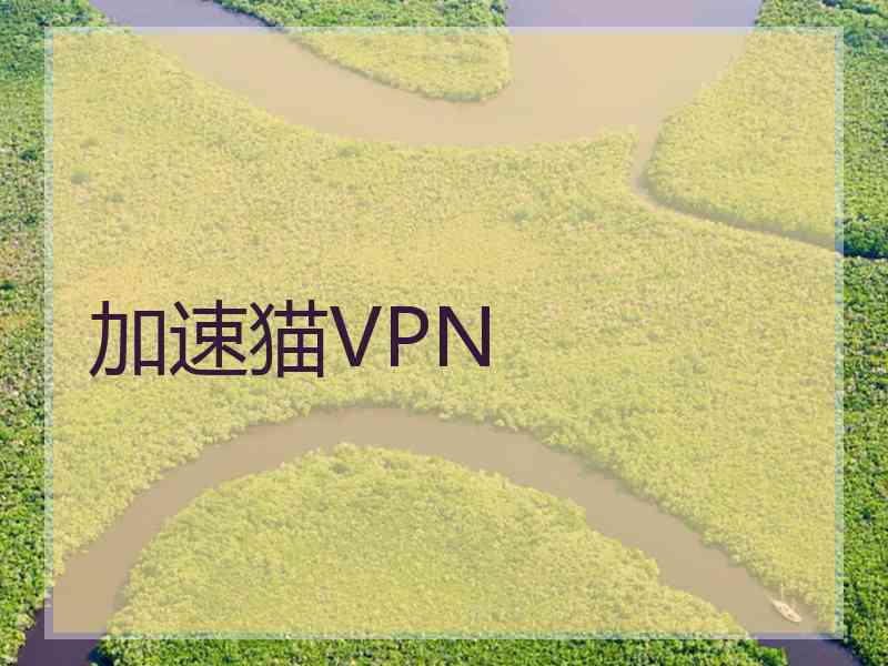 加速猫VPN