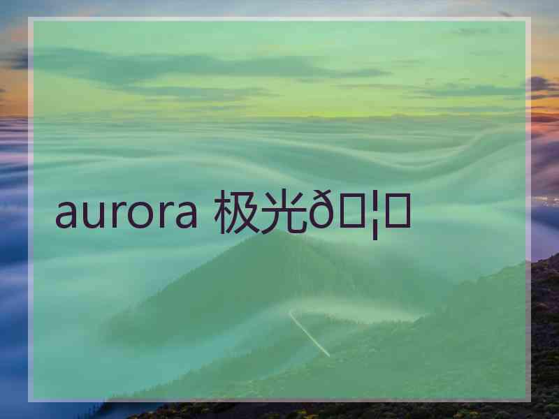 aurora 极光🦄