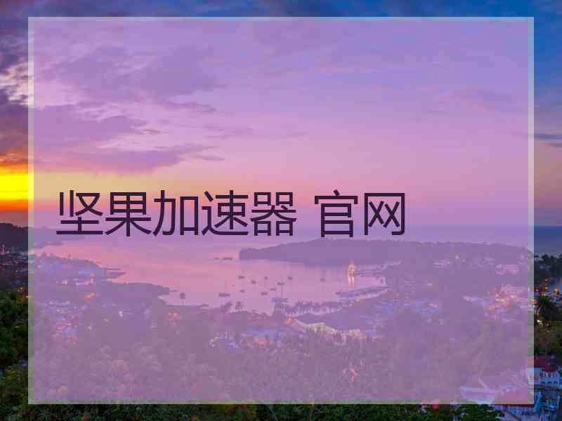 坚果加速器 官网