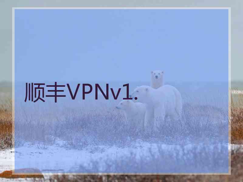 顺丰VPNv1.