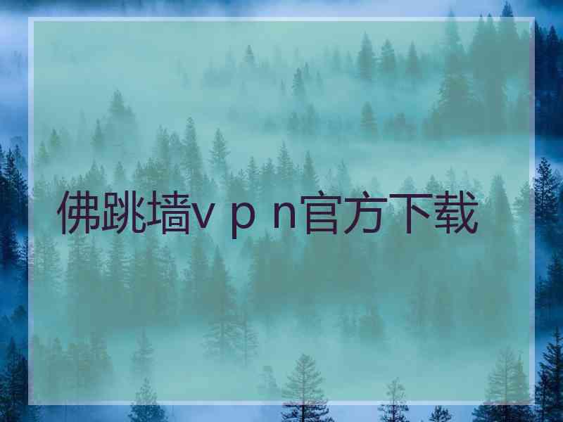 佛跳墙v p n官方下载