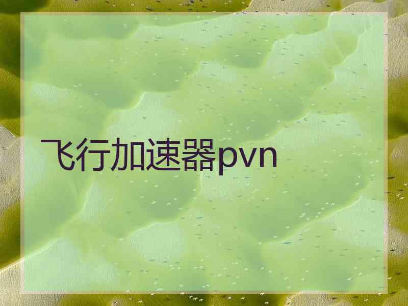 飞行加速器pvn