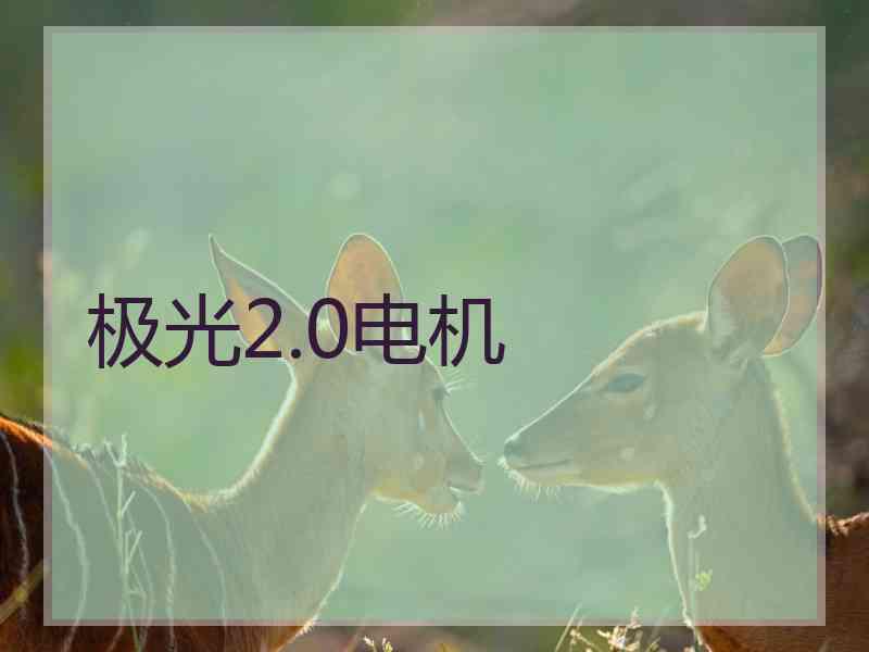 极光2.0电机