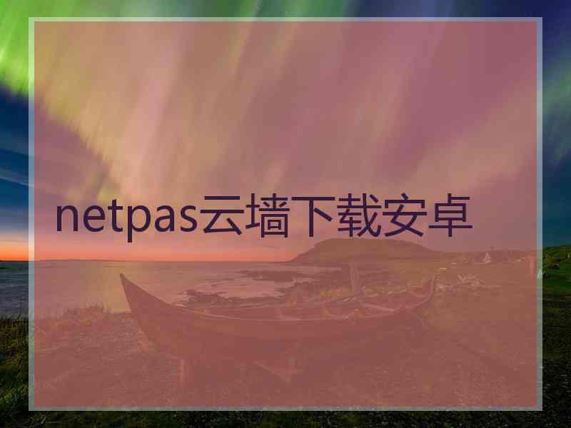 netpas云墙下载安卓