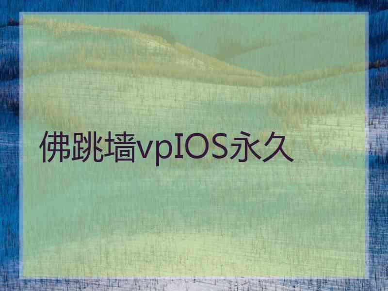 佛跳墙vpIOS永久