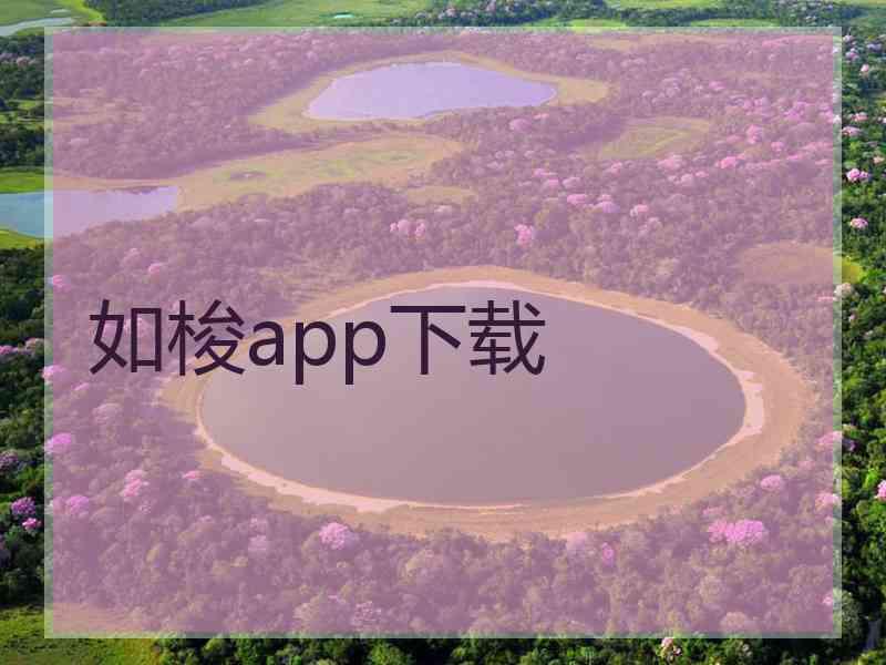 如梭app下载