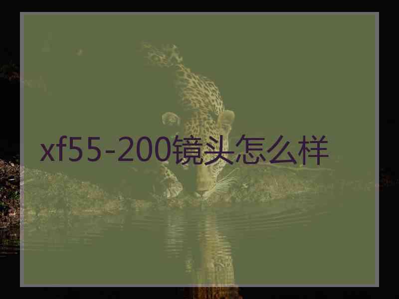 xf55-200镜头怎么样