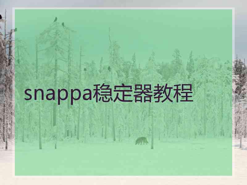 snappa稳定器教程