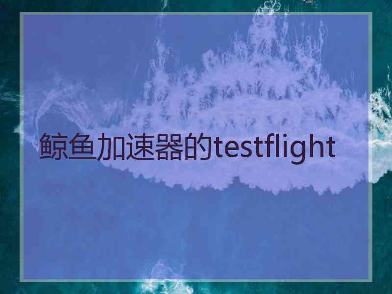 鲸鱼加速器的testflight